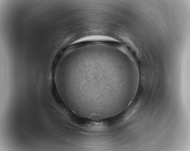 X0000093730260200710161122