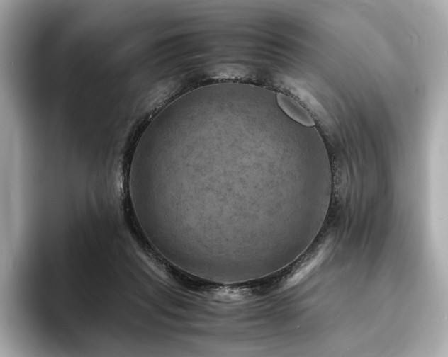 X0000093730261200710161122