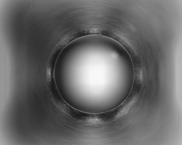 X0000093730262200710161122