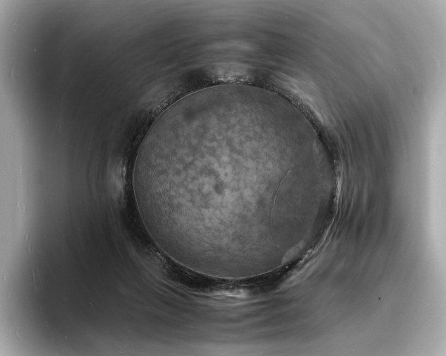 X0000093730263200710161122