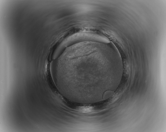 X0000093730266200710161122