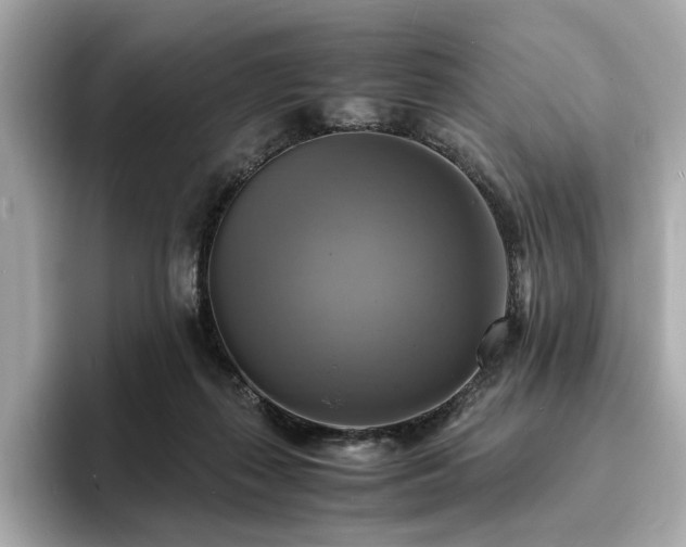 X0000093730267200710161122