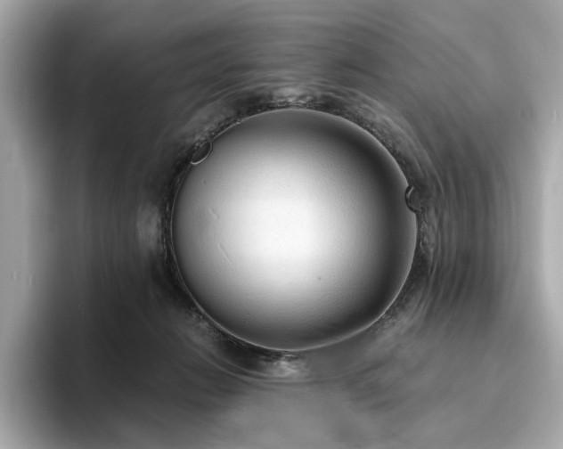 X0000093730270200710161122