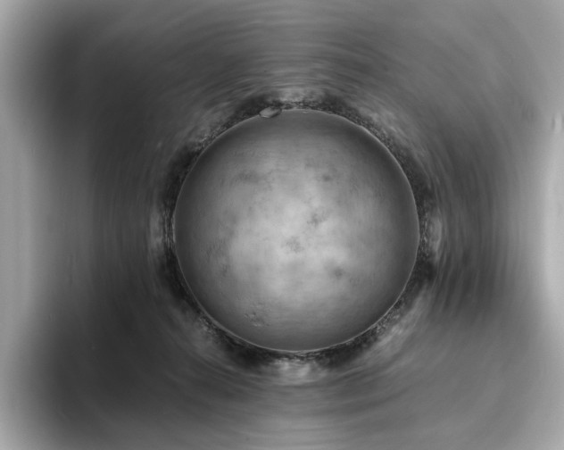X0000093730272200710161122