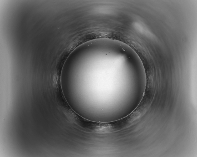 X0000093730274200710161122
