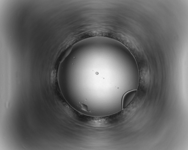 X0000093730278200710161122
