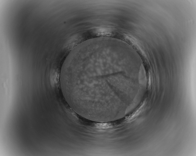 X0000093730281200710161122