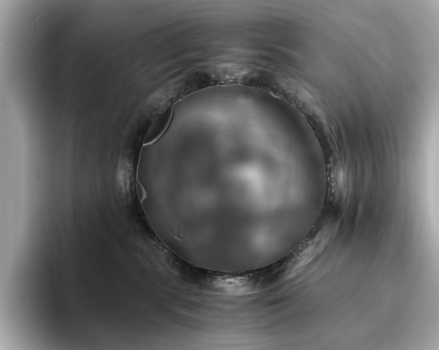 X0000093730283200710161122