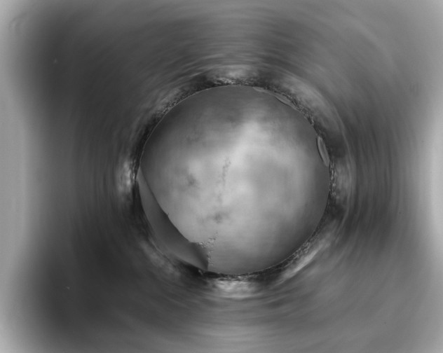X0000093730284200710161122