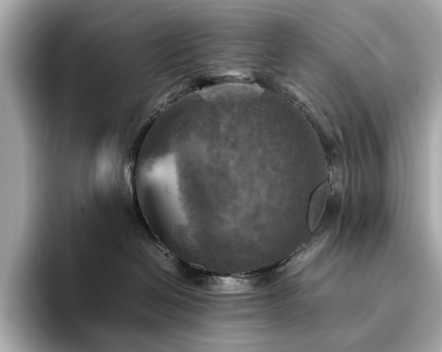 X0000093730286200710161122