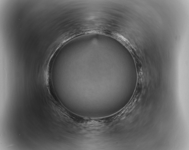 X0000093730290200710161122