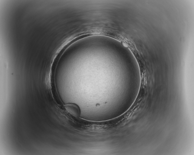 X0000093730292200710161122