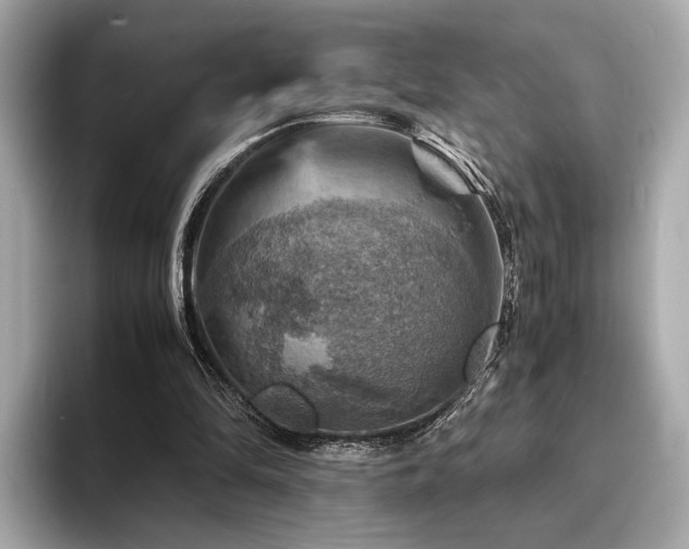 X0000093730294200710161122