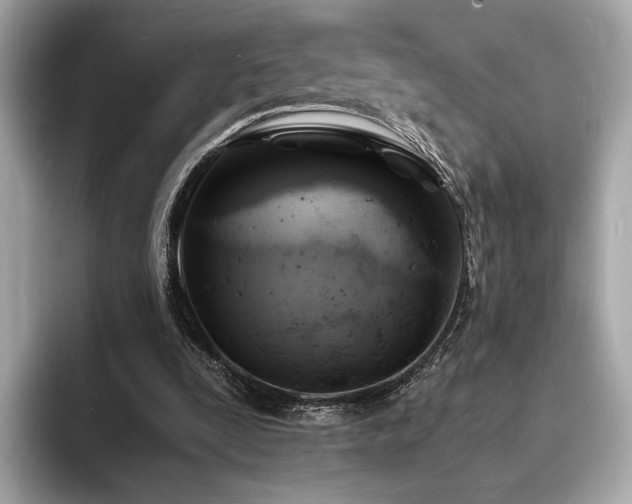 X0000093730295200710161122