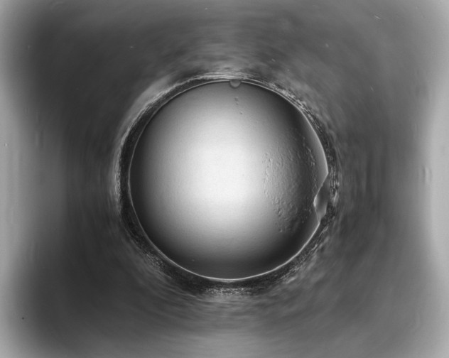 X0000093730296200710161122