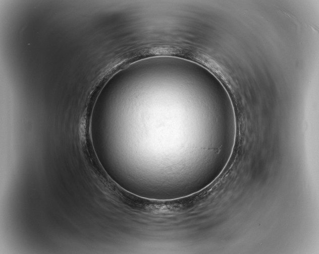 X0000093730297200710161122