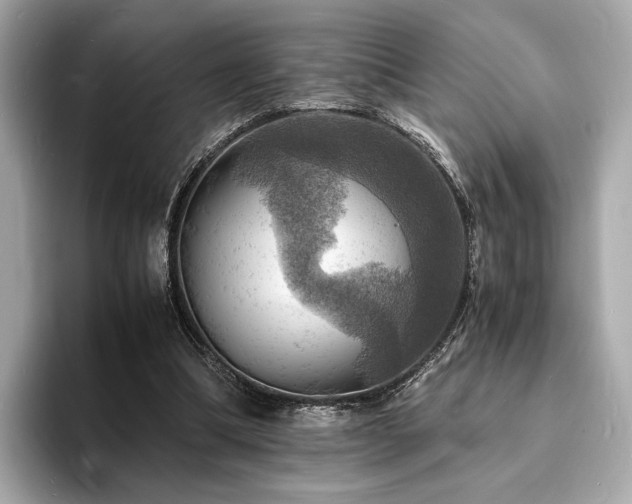 X0000093730298200710161122