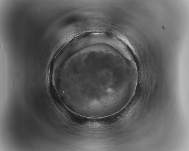 X0000093730299200710161122
