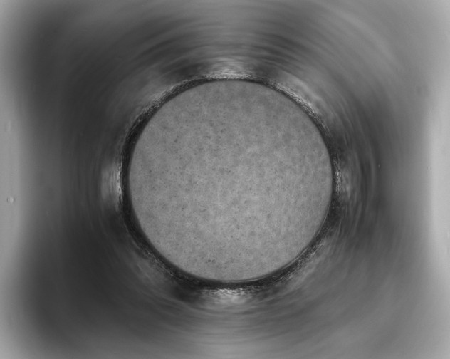 X0000093730302200710161122