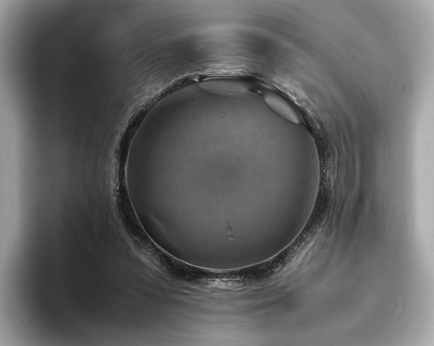 X0000093730303200710161122