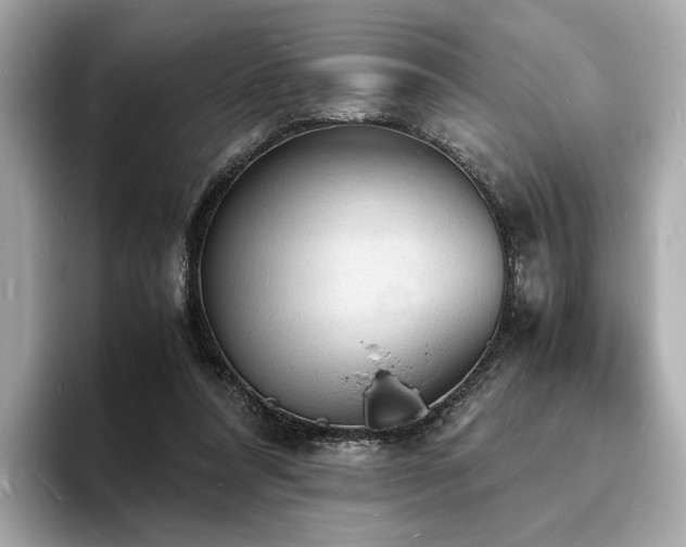 X0000093730304200710161121