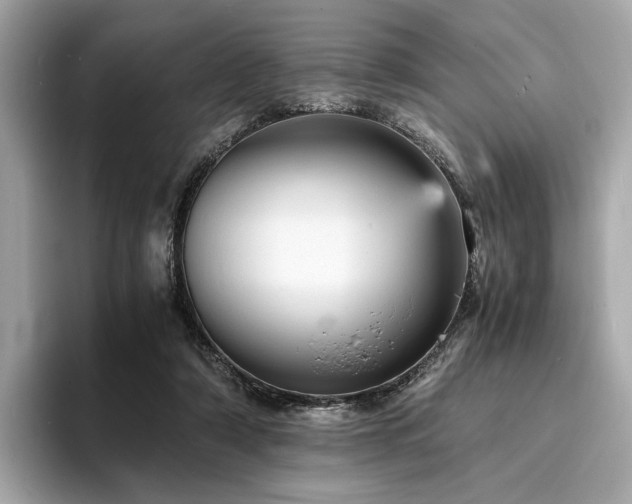 X0000093730306200710161121
