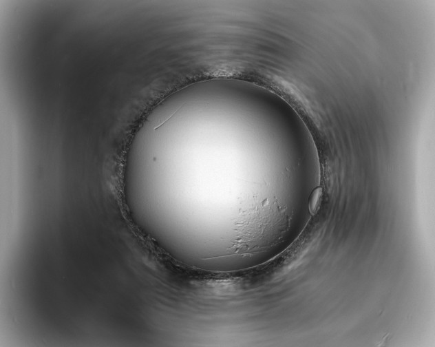 X0000093730307200710161121