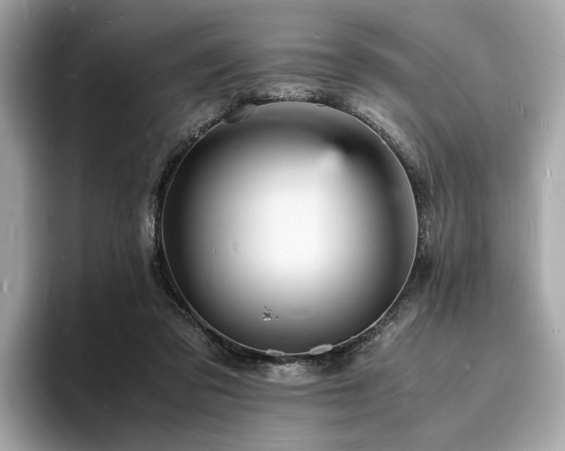 X0000093730309200710161121