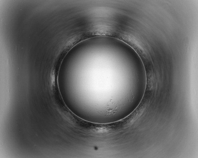 X0000093730310200710161121