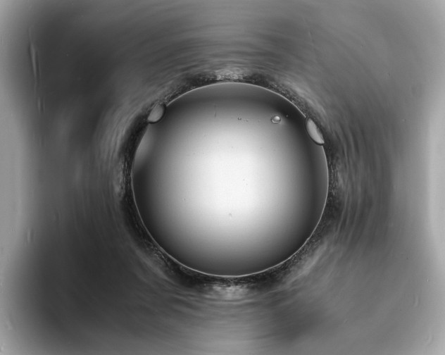 X0000093730311200710161121