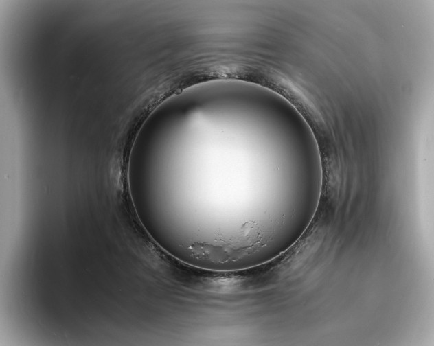 X0000093730313200710161121