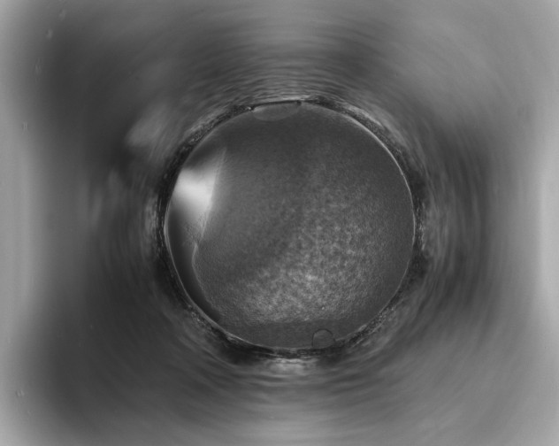 X0000093730314200710161121