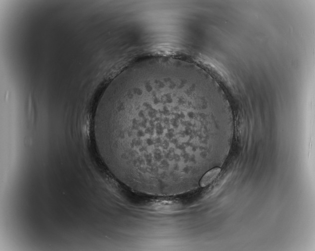 X0000093730315200710161121