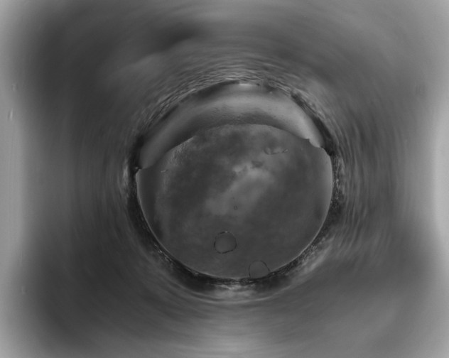X0000093730319200710161121