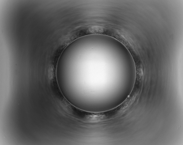 X0000093730323200710161121