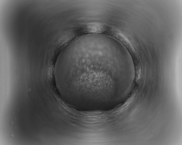 X0000093730325200710161121