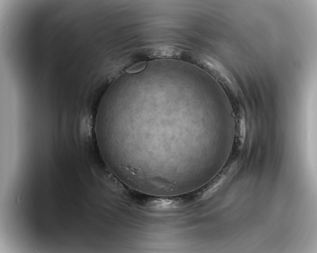 X0000093730326200710161121