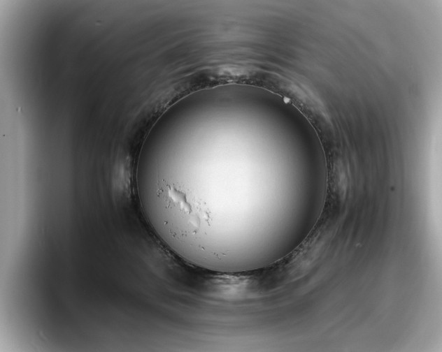 X0000093730328200710161121