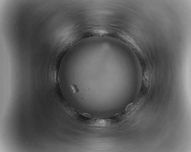 X0000093730330200710161121