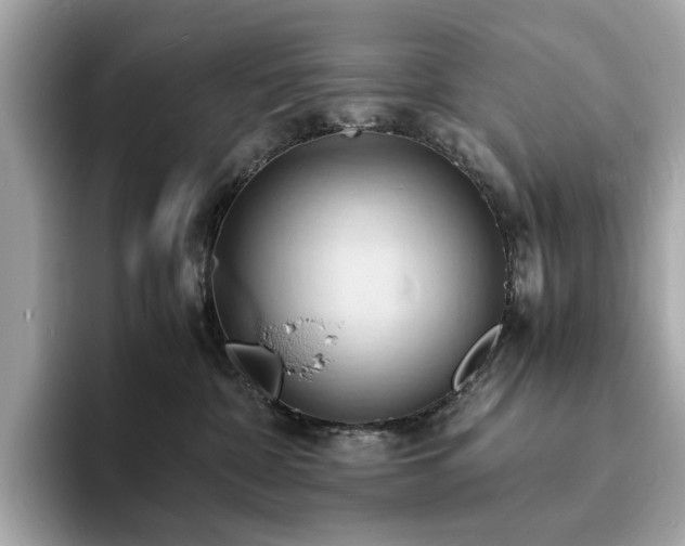 X0000093730332200710161121