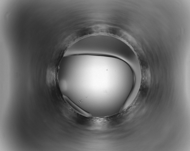 X0000093730333200710161121