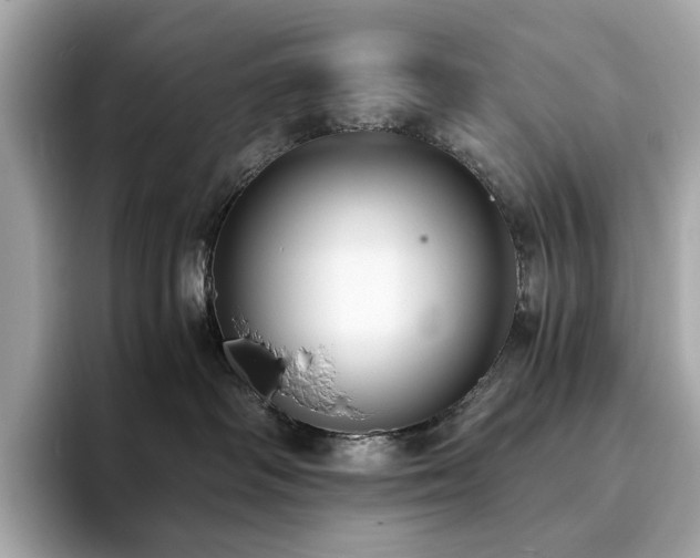 X0000093730334200710161121
