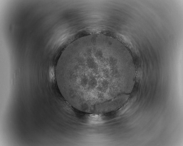 X0000093730335200710161121