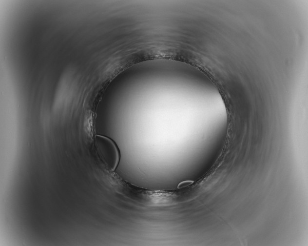 X0000093730336200710161121