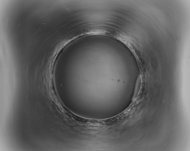 X0000093730337200710161121