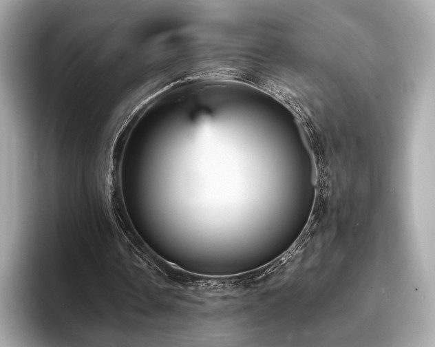 X0000093730338200710161121