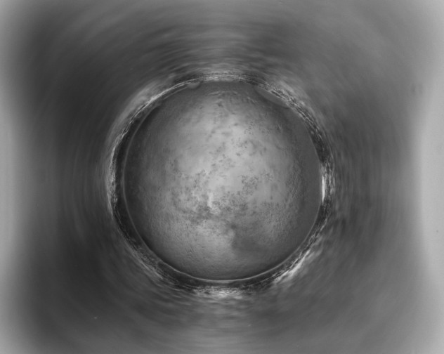 X0000093730339200710161121