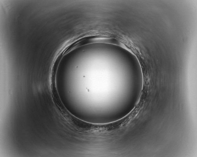 X0000093730340200710161121