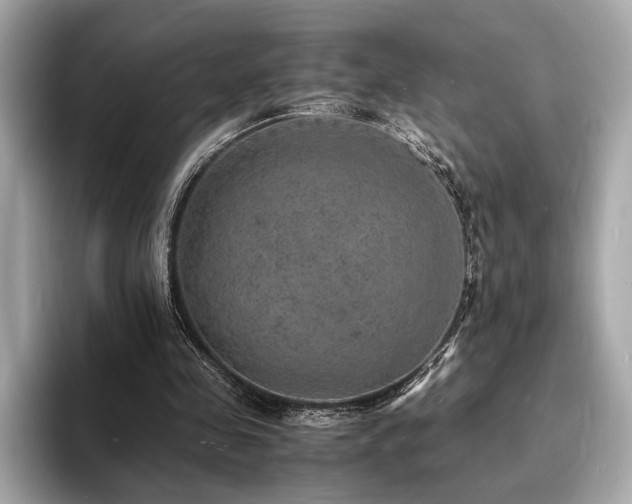 X0000093730341200710161121