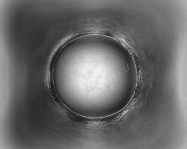 X0000093730342200710161121